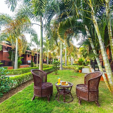 Vision Safari Pvt Ltd Hotel Sauraha Kültér fotó