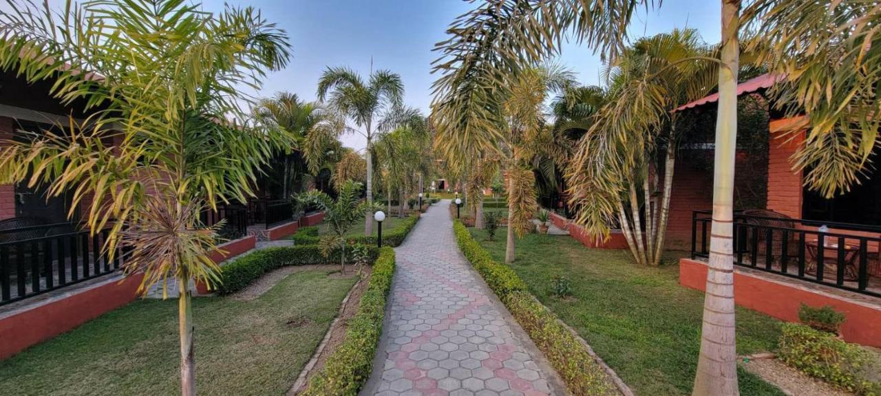 Vision Safari Pvt Ltd Hotel Sauraha Kültér fotó